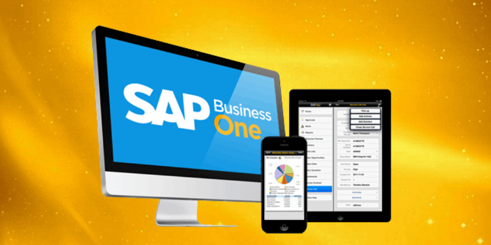 Phần mềm quản lý phương tiện vận tải​ SAP